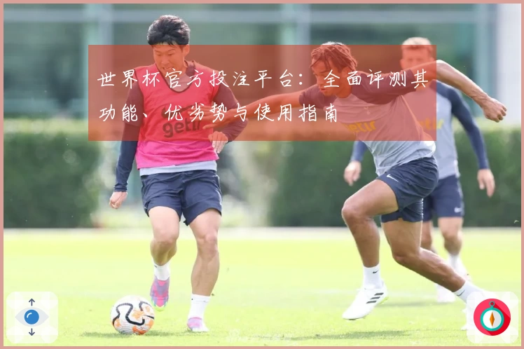 世界杯官方投注平台：全面评测其功能、优劣势与使用指南